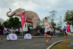 BIB: 
                            <button type="button" onclick="openModal(26528881)" class="btn btn-primary btn-sm float-right btn-popup" data-toggle="modal" data-target=".modal-high-quality">
                        <i class="fas fa-shopping-cart"></i> Add to Cart
                    </button>
                                            <button type="button" onclick="isThisMe(26528881, true)" class="btn btn-success btn-sm float-right btn-popup btn-isme hidden" data-toggle="tooltip" data-placement="bottom" title="นี่คือรูปของคุณใช่ไหม คลิกที่นี่เพื่อเอาเข้าอัลบั้ม">
                        <i class="fas fa-plus"></i> Add to album
                    </button>
                    <button type="button" onclick="isThisMe(26528881, false)" class="btn btn-warning btn-sm float-right btn-popup btn-isnotme hidden">
                        <i class="fas fa-ban"></i> Remove from album
                    </button>